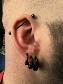 industrial and lobe piercings with black titanium jewelry